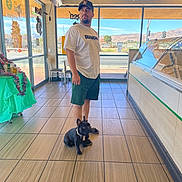 Koda is registered to the contest to win money with this photo: man, dog, french_bulldog, store, indoor, tile_floor, casual_clothing, cap, window, daylight, mountains, chair, table, counter, leash, pet, retail, shopping, animal, person