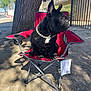 Koda is registered to the contest to win money with this photo: dog, french_bulldog, black_dog, outdoor, red_chair, folding_chair, necklace, tree, shadow, dirt_ground, sunny, fence, building, pet, animal, sitting, side_view, nature, daytime, accessory