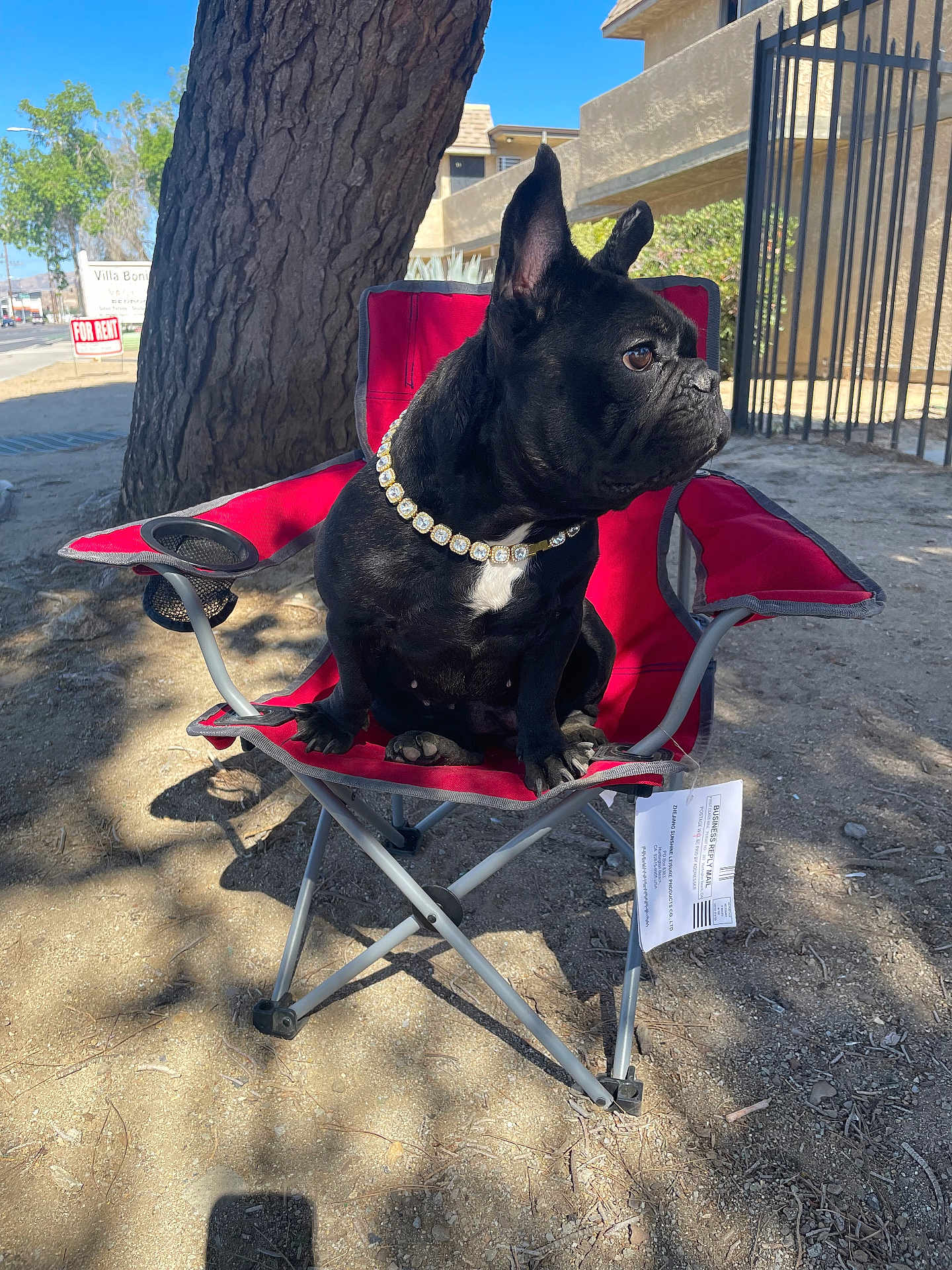 Koda