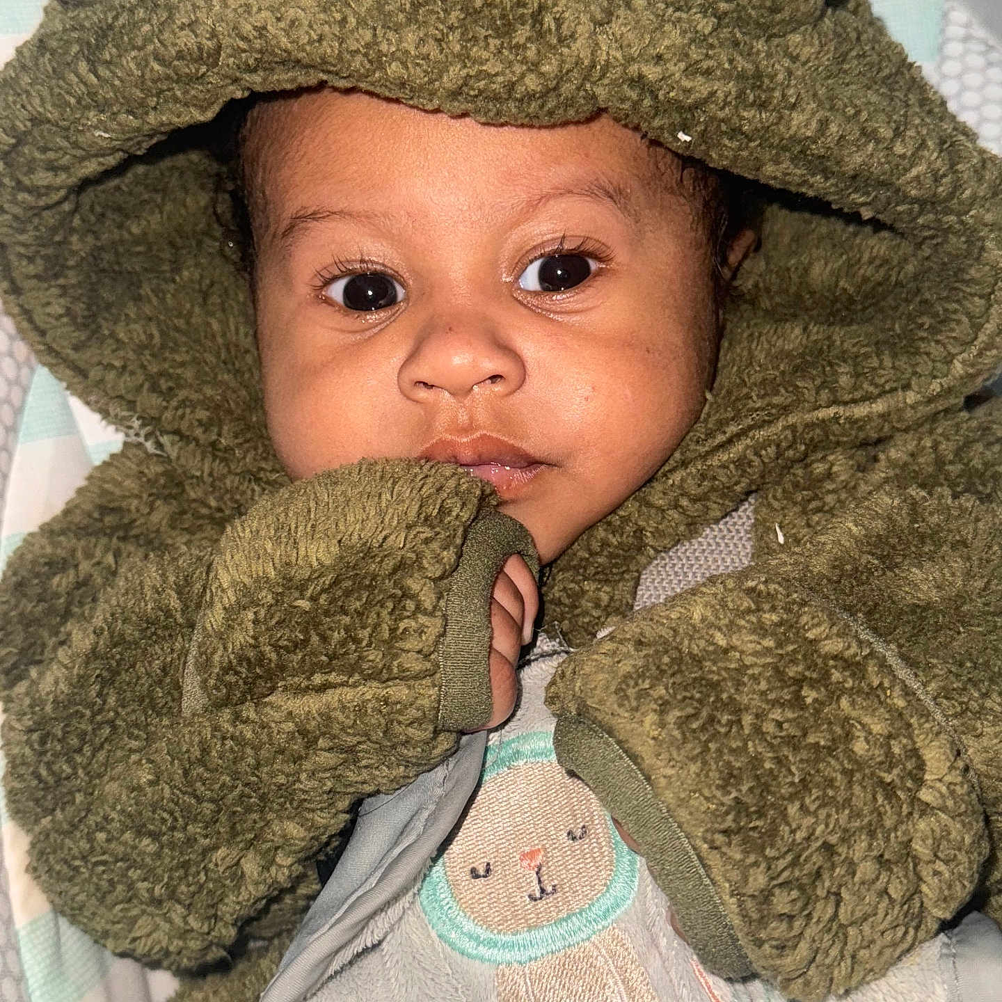 Azeion is registered to the contest to win money with this photo: adorable, baby, blanket, child, close_up, cozy, cute, face, fuzzy_texture, green_clothing, hand, hoodie, indoor, infant, portrait, snuggled, soft_toy, warm_clothing, wide_eyes, young_child
