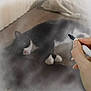 Sylvia joined the competition — help win amazing prizes! animal, art, artist, black_cat, cat, close_up, creative, drawing, feline, hand, illustration, paper, pen, pencil_sketch, pet, signature, sketch, sketchbook, white_paws, wooden_table