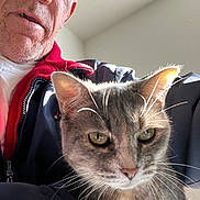 Smokey is registered to the contest to win money with this photo: man, glasses, gray_cat, cat, whiskers, jacket, face, close_up, indoor, pet, person, portrait, light, fur, expression, animal, eyes, head, indoor_lighting, casual