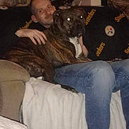 Buddy joined the competition — help win amazing prizes! man, dog, couch, blanket, indoor, person, pet, brindle, jeans, casual, seated, flash, reflection, living_room, sports_team, football, home, comfort, animal, relaxing