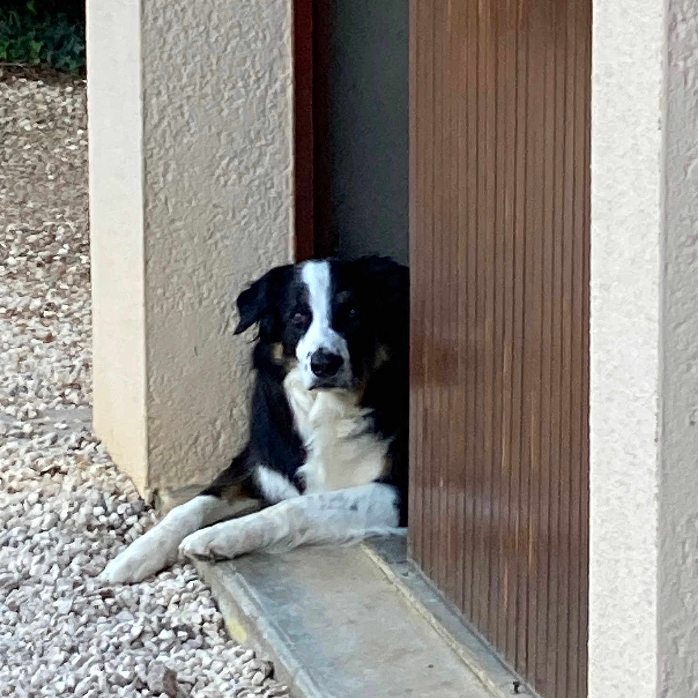 Oscar
