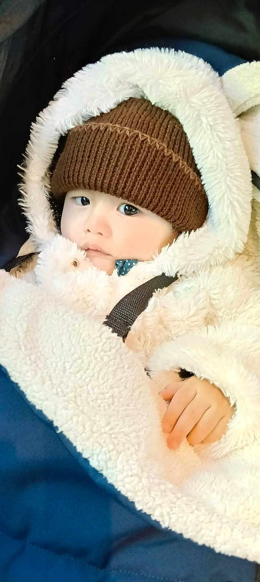 Jared- Matthew Ramos participe au concours pour gagner de l'argent avec cette photo : baby, blanket, bundle_up, candid, child, close_up, cold_weather, cute, face, fur, hand, hat, hood, infant, jacket, knit_hat, outdoor_gear, portrait, warm_clothing, winter_wear