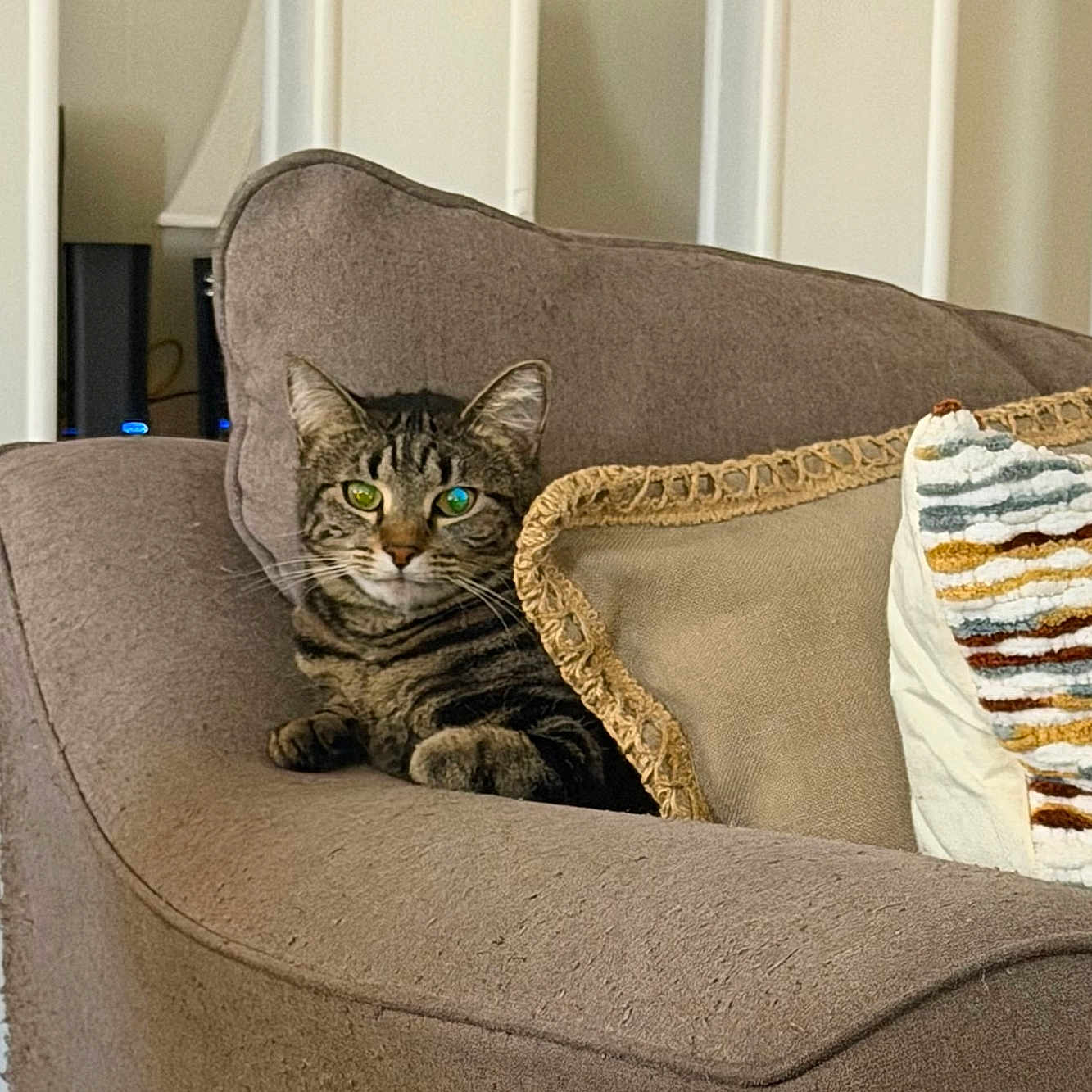 Stella