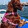 Tootsie