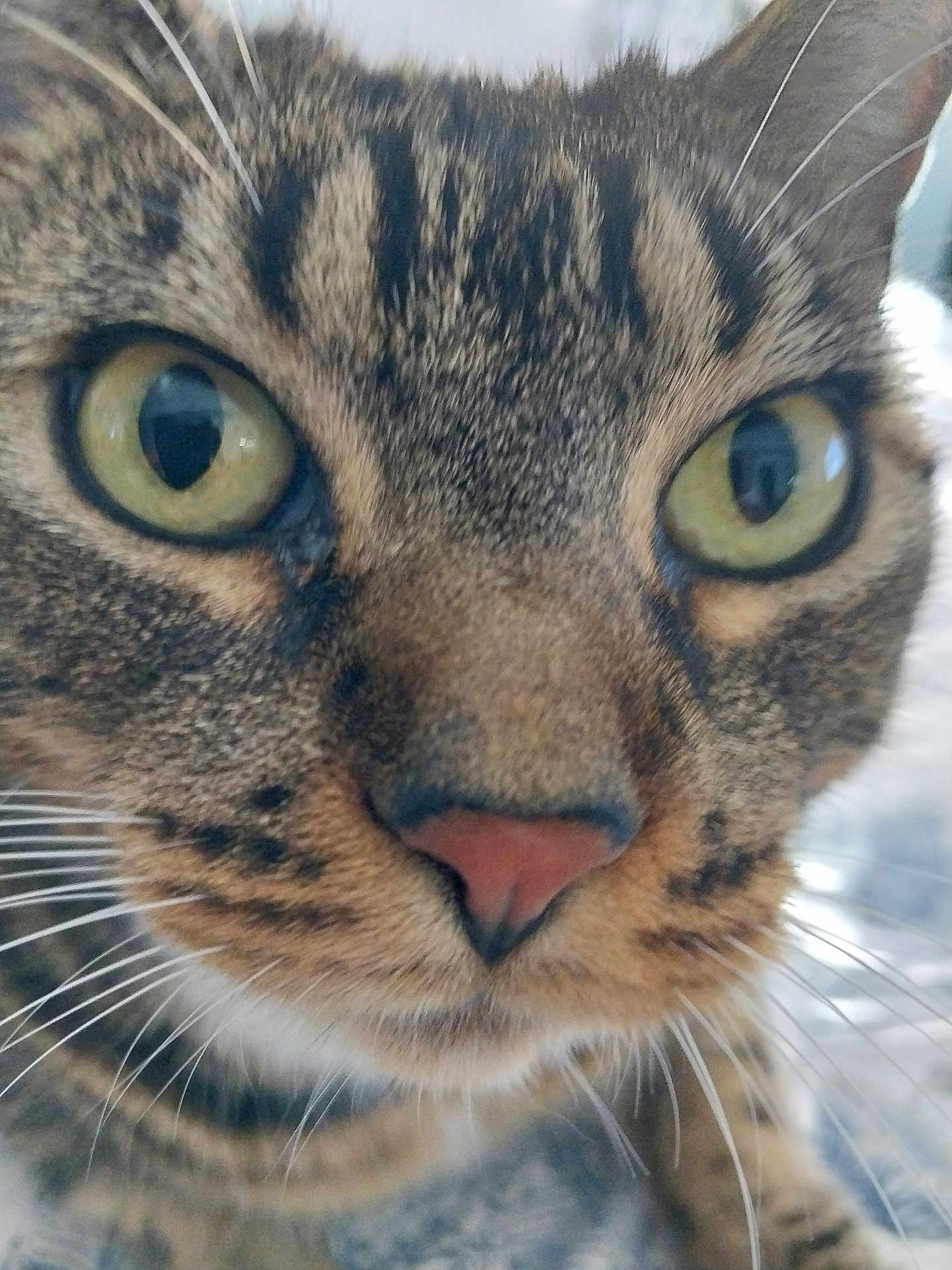 Pepper