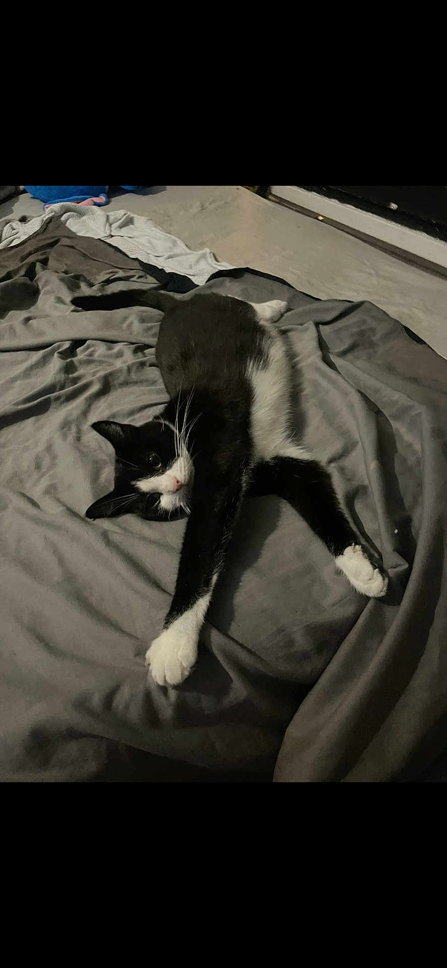 Mittens