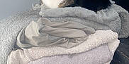 Snowy is registered to the contest to win money with this photo: cat, tabby_cat, black_cat, stacked_towels, shoe, nike_air, indoor, cozy, pets, feline, resting, pile, soft_lighting, floor, walls, domestic, cute, animal, companion, relaxing
