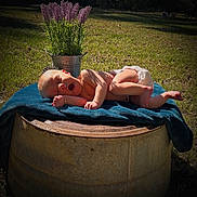 Mary Ann is registered to the contest to win money with this photo: baby, bucket, candid, cute, diaper, flowers, grass, greenery, infant, metal_barrel, nature, outdoor, peaceful, portrait, relaxing, sleepy, summer, sunlight, towel, yawning