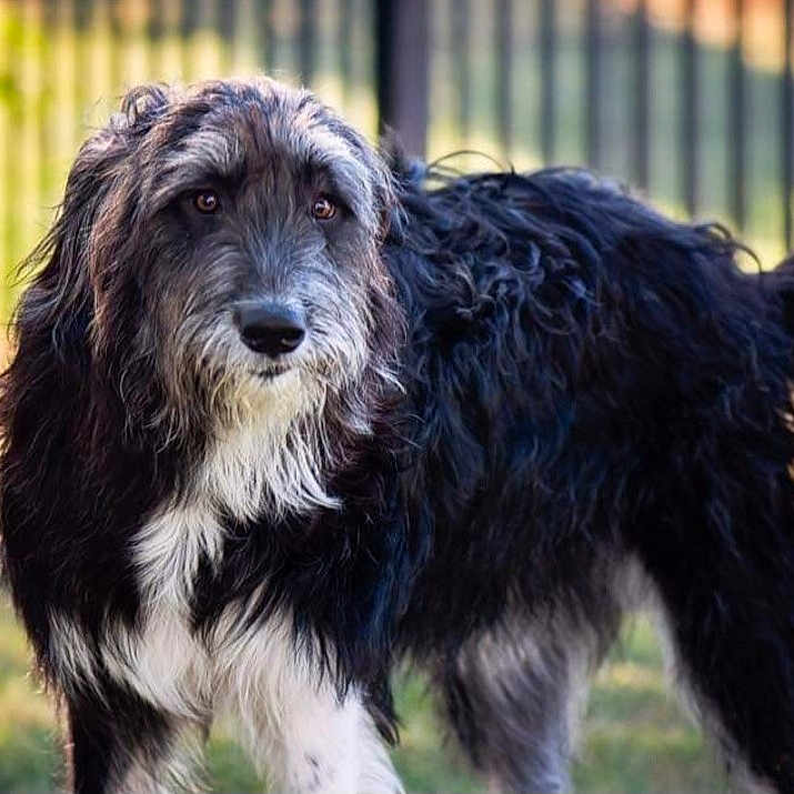Tuukka