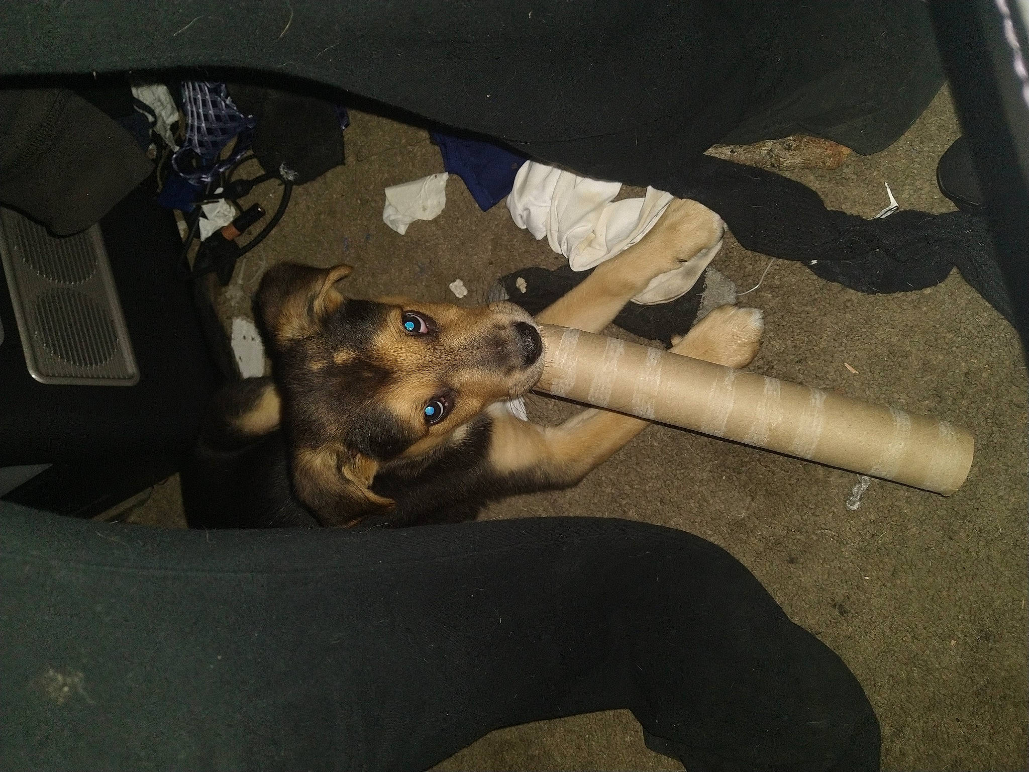 Alastor is registered to the contest to win money with this photo: art, artifact, asphalt, auto_part, automotive_tire, bone, darkness, elbow, flash_photography, flesh, gesture, human_leg, knee, personal_protective_equipment, road_surface, shadow, skeleton, still_life_photography, visual_arts, wrist