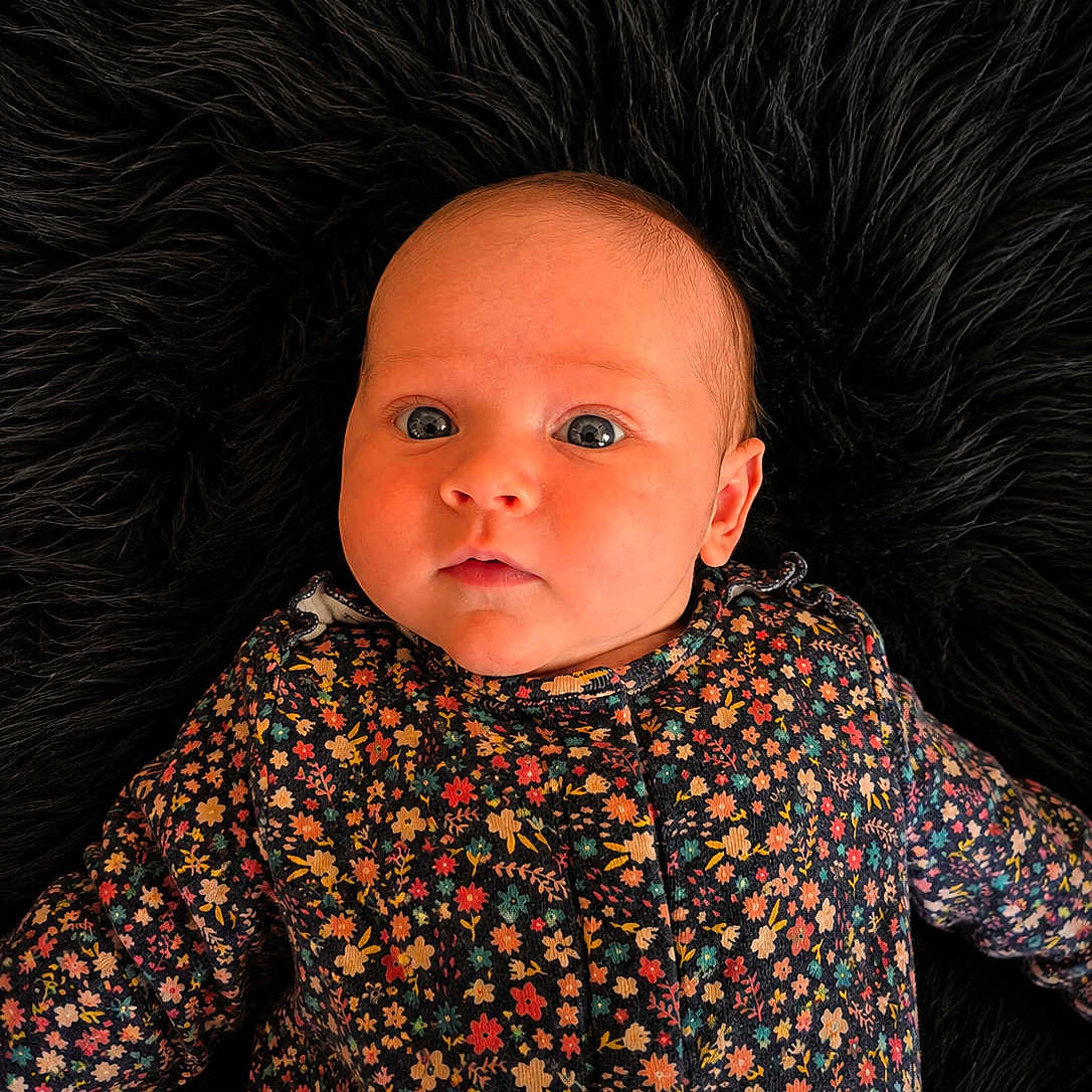 Lilly-Grace