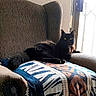 black_cat, cat, feline, pet, animal, indoor, living_room, armchair, chair, blanket, patterned_fabric, window, sunlight, portrait, sitting, lounging, alert, ears, whiskers, home_decor