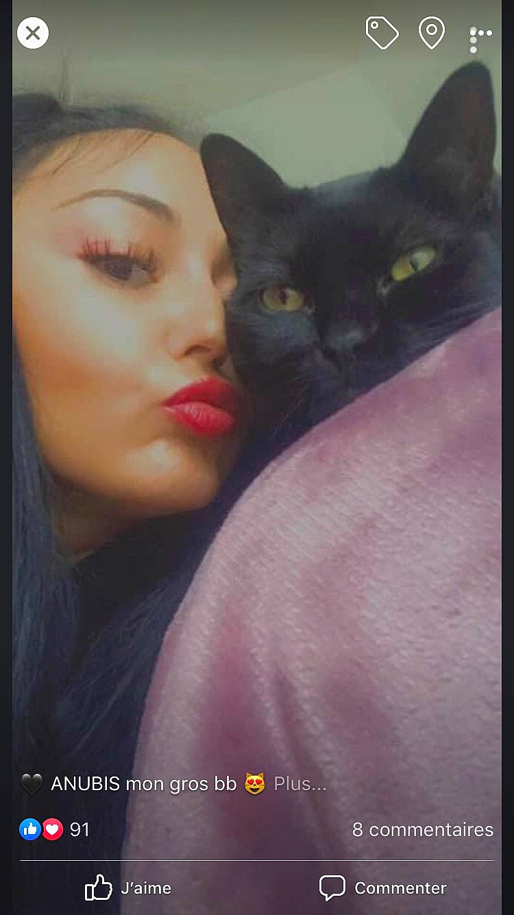 Anubis a rejoint le concours — aidez-le/la à gagner de superbes lots ! black_cat, black_hair, carnivore, cat, eye, felidae, lip, nose, photo_caption, photography, small_to_medium_sized_cats, whiskers