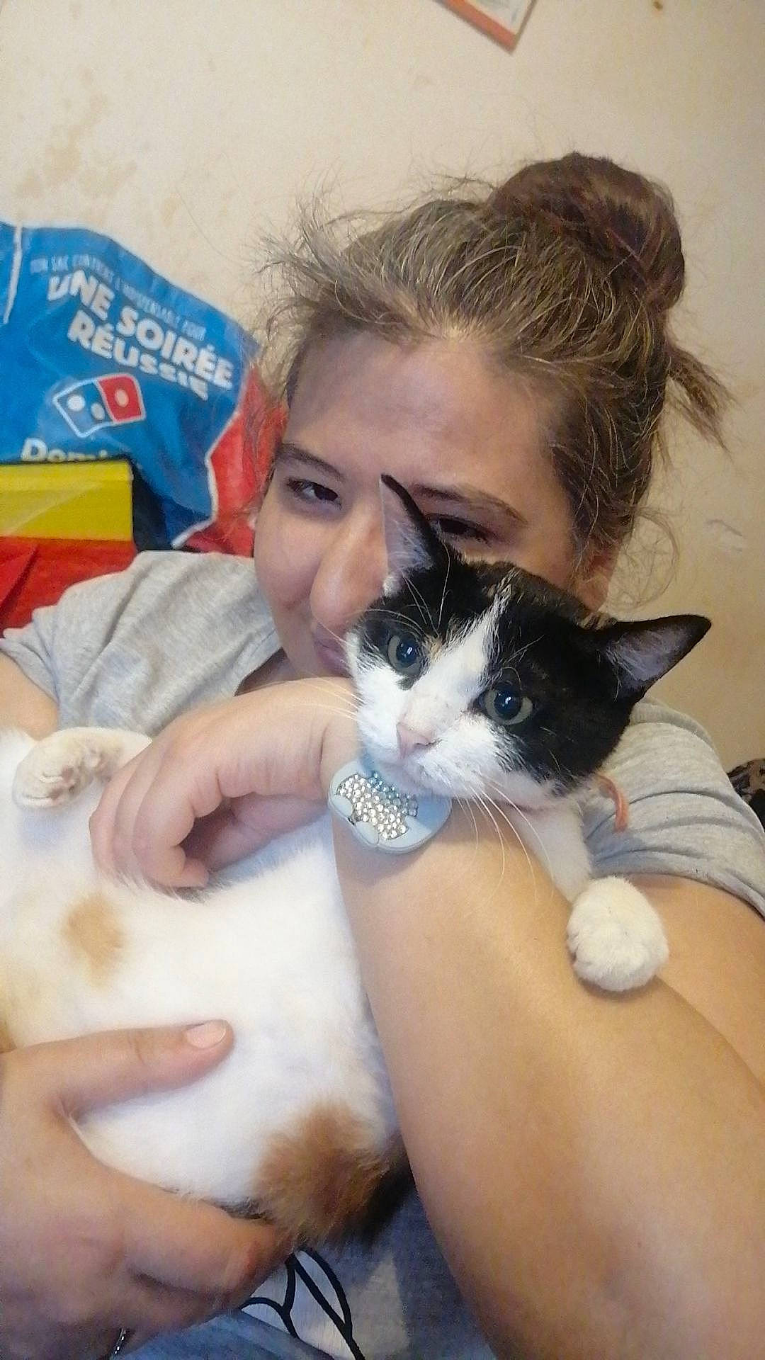 Câline a rejoint le concours — aidez-le/la à gagner de superbes lots ! carnivore, cat, child, comfort, domestic_short_haired_cat, felidae, finger, fur, gesture, hand, happy, human_body, lap, nail, nose, skin, small_to_medium_sized_cats, smile, thumb, whiskers