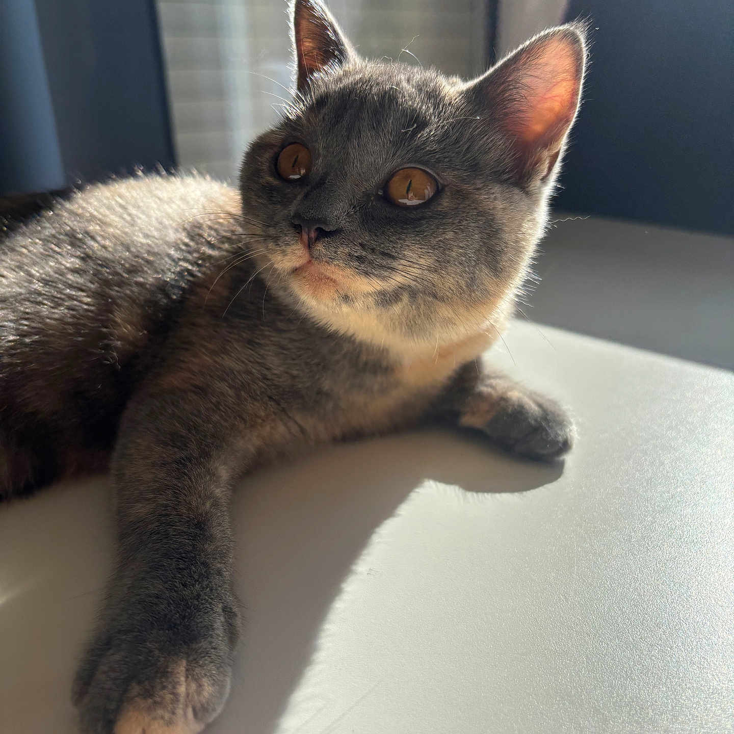 Kyra