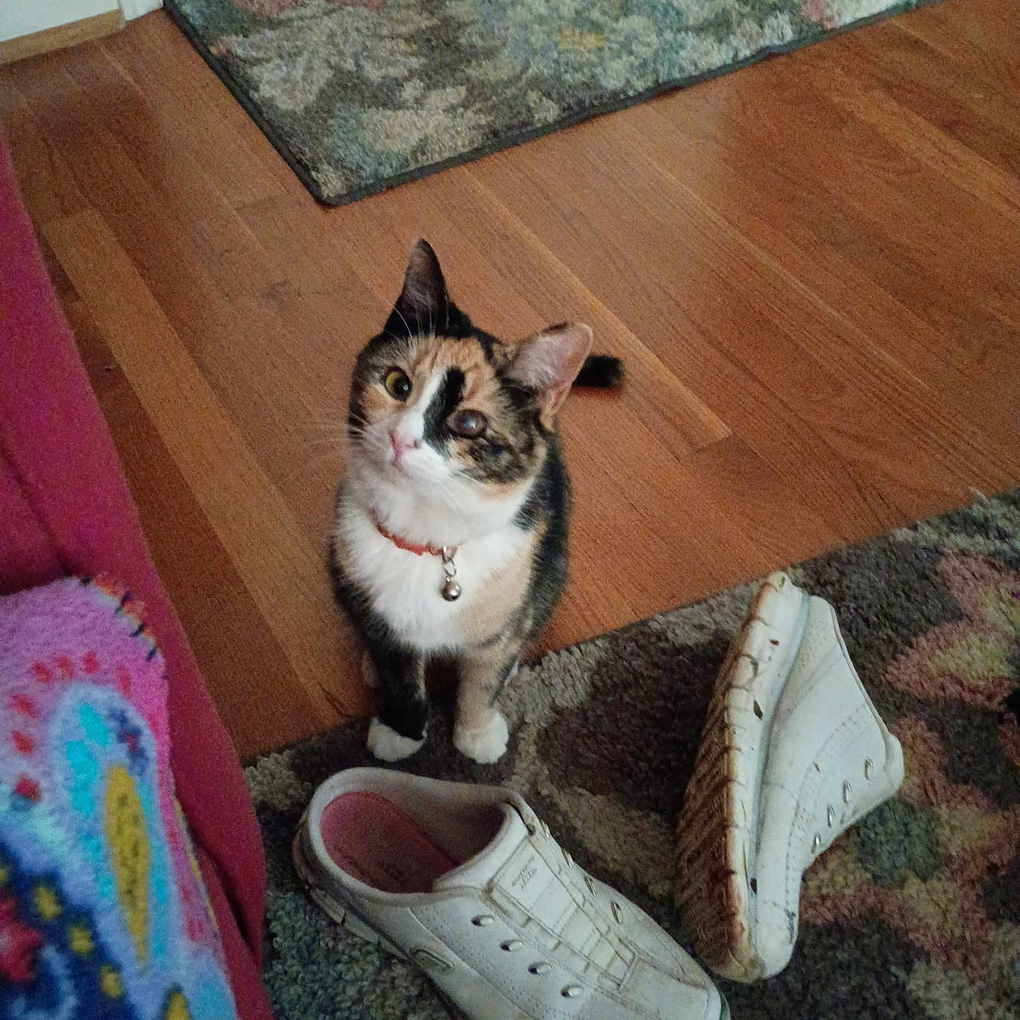 Chloe