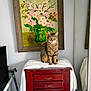 animal, cat, decor, flowers, furniture, green, indoor, living_room, mirror, painting, pet, pink, portrait, red_chest, sitting, striped, tabby_cat, vase, white_cloth, wooden_drawers