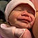 Zailee