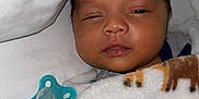 Mateo is registered to the contest to win money with this photo: baby, blanket, pacifier, bed, sleepy, infant, cozy, animal_print, soft, cute, face, child, resting, indoors, comfort, newborn, wrapped, expression, lying_down, skin