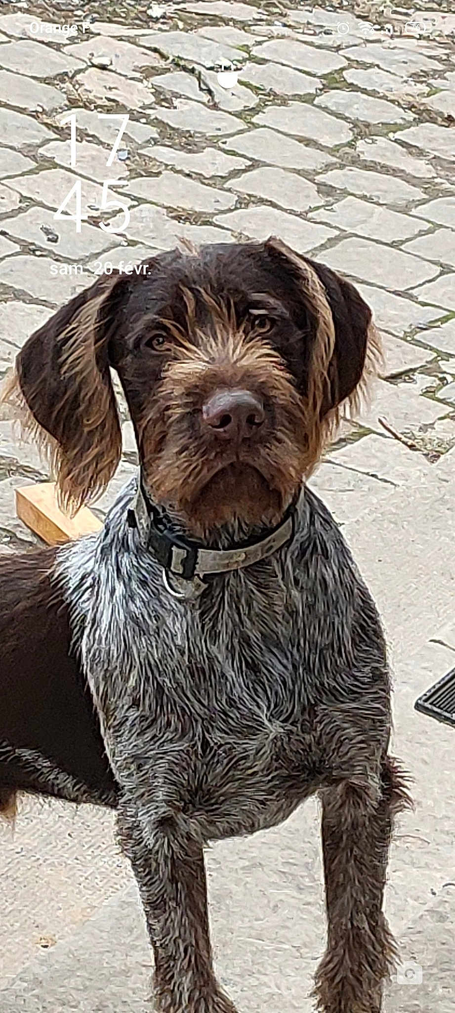 Roxy