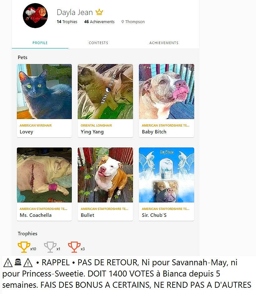 Poupi a rejoint le concours — aidez-le/la à gagner de superbes lots ! advertising, brand, carnivore, dog, font, food_group, happy, recipe, screenshot, software, web_page, website, wildlife
