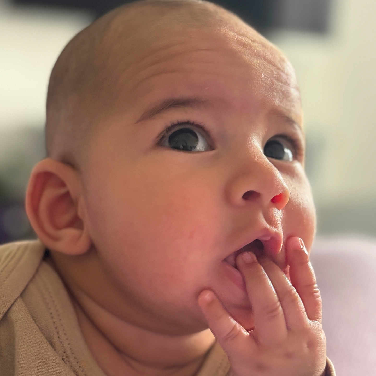 Naël a rejoint le concours — aidez-le/la à gagner de superbes lots ! apparel, baby, child, closeup, curious, cute, expression, eyes, face, fingers, hand, head, human, indoors, infant, mouth, portrait, skin, soft_lighting, young