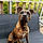 Athena