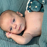 Noé participe au concours pour gagner de l'argent avec cette photo : baby, infant, blanket, plush_toy, blue, soft_texture, relaxed, lying_down, cute, skin, face, small_arm, wide_eyes, indoors, comfort, peaceful, child, newborn, portrait, cozy