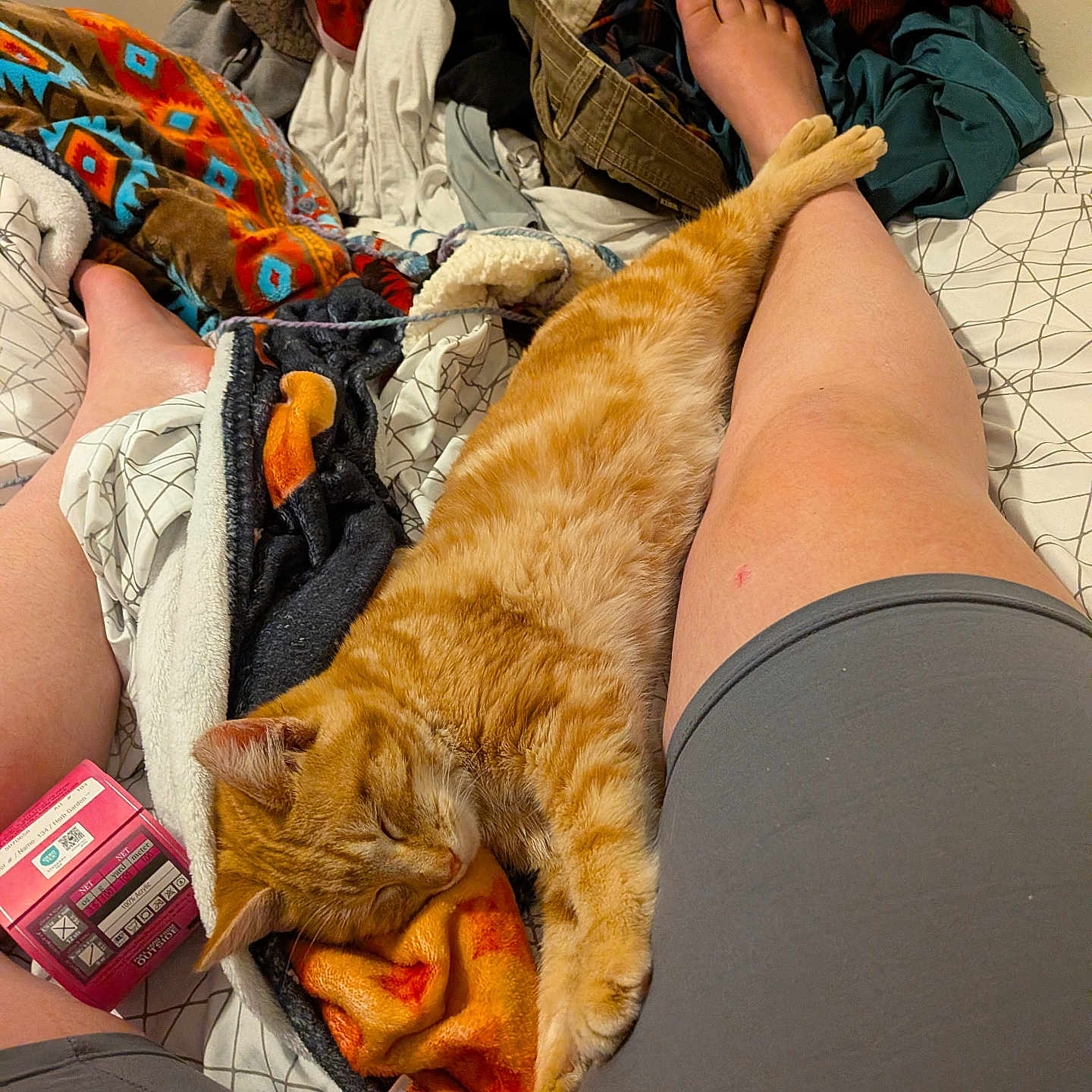 Festus is registered to the contest to win money with this photo: bed, blanket, candy, casual, cat, clothing, comfort, cozy, fabric, foot, ginger_cat, home, indoor, legs, nap, orange, person, relaxing, resting, sleeping