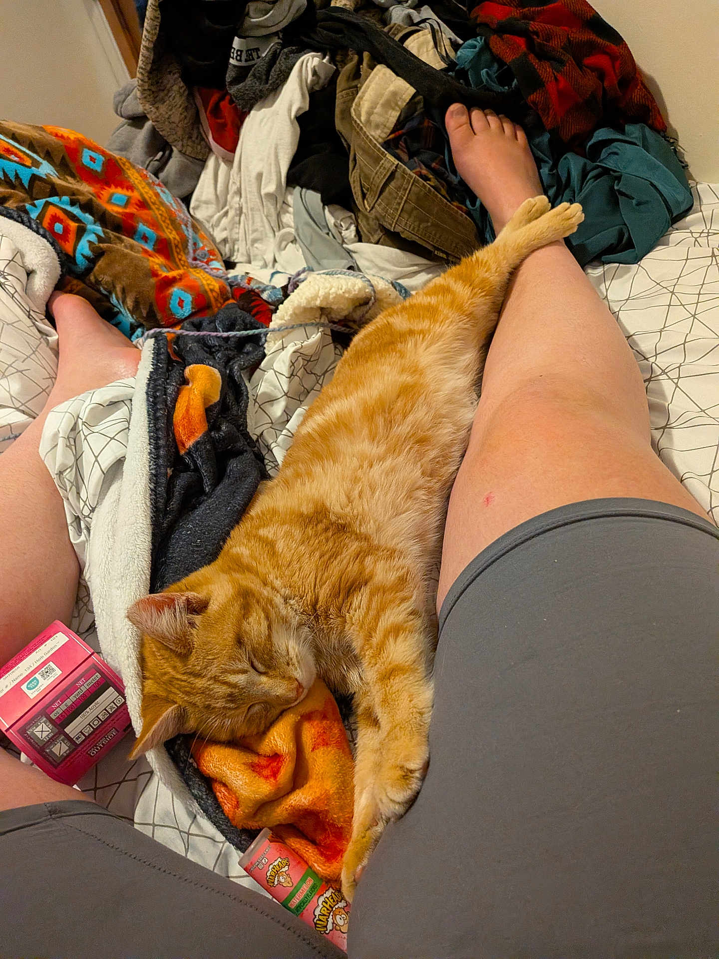 Festus is registered to the contest to win money with this photo: cat, sleeping, ginger_cat, legs, person, blanket, clothing, bed, candy, orange, relaxing, indoor, cozy, comfort, resting, casual, fabric, foot, nap, home
