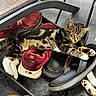 Loki And Smokie is registered to the contest to win money with this photo: kitten, cat, sleeping, shoes, footwear, tabby, paw, indoor, resting, pet, cute, animal, feline, cozy, relaxed, black, brown, white, floor, texture
