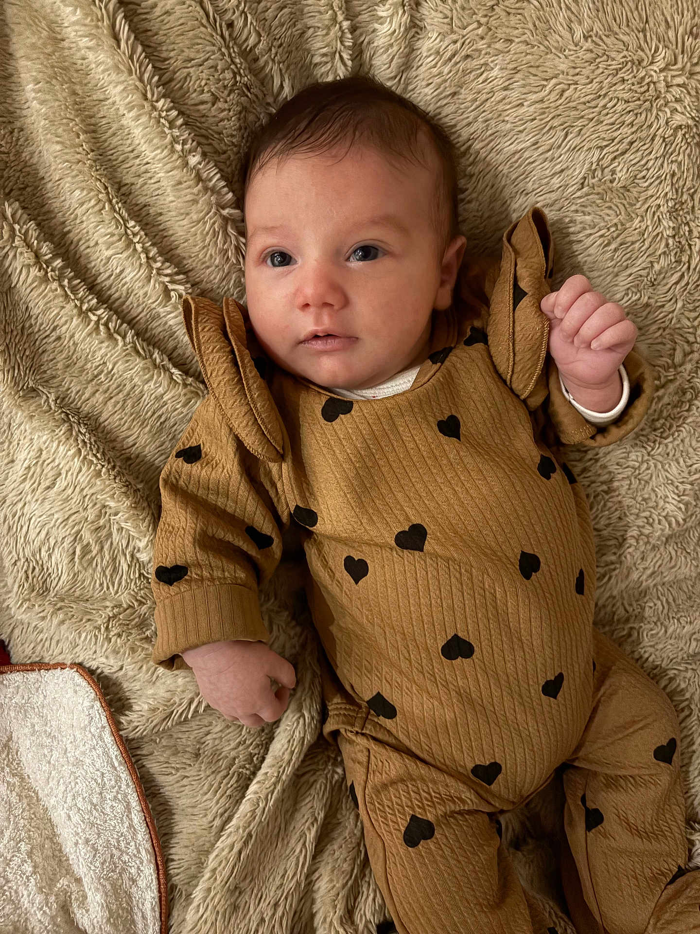 Victoire participe au concours pour gagner de l'argent avec cette photo : baby, infant, blanket, brown_outfit, hearts_pattern, cute, lying_down, soft_texture, indoors, portrait, child, small_hand, face, eyes, cozy, warm_colors, sleepwear, newborn, resting, comfortable