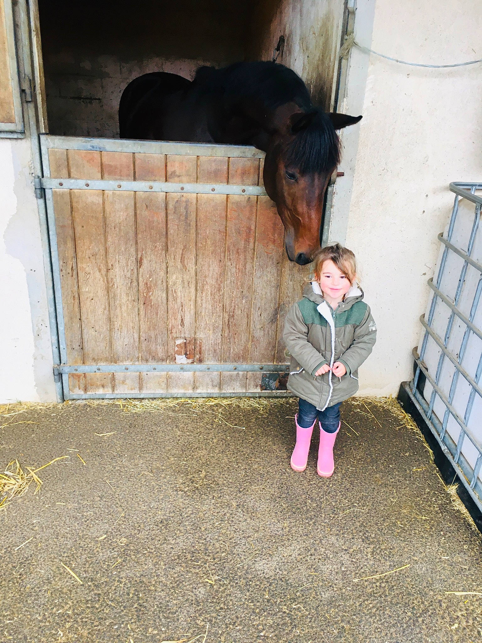 Emma participe au concours pour gagner de l'argent avec cette photo : bovine, bridle, canidae, fawn, fun, goats, grass, horse, horse_supplies, horse_tack, joy, landscape, livestock, mane, mare, pack_animal, person, pet_supply, rein, stable