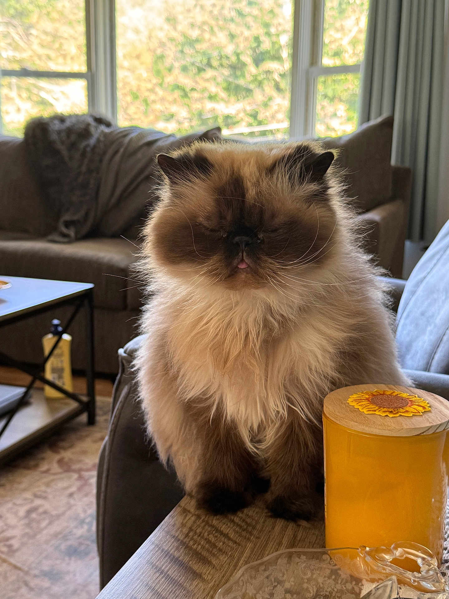 Bella