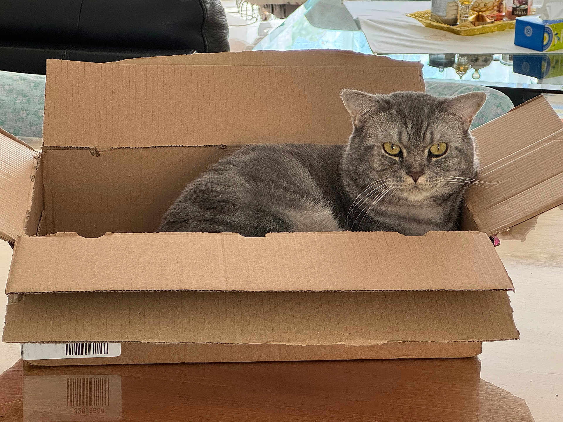 Tigrou