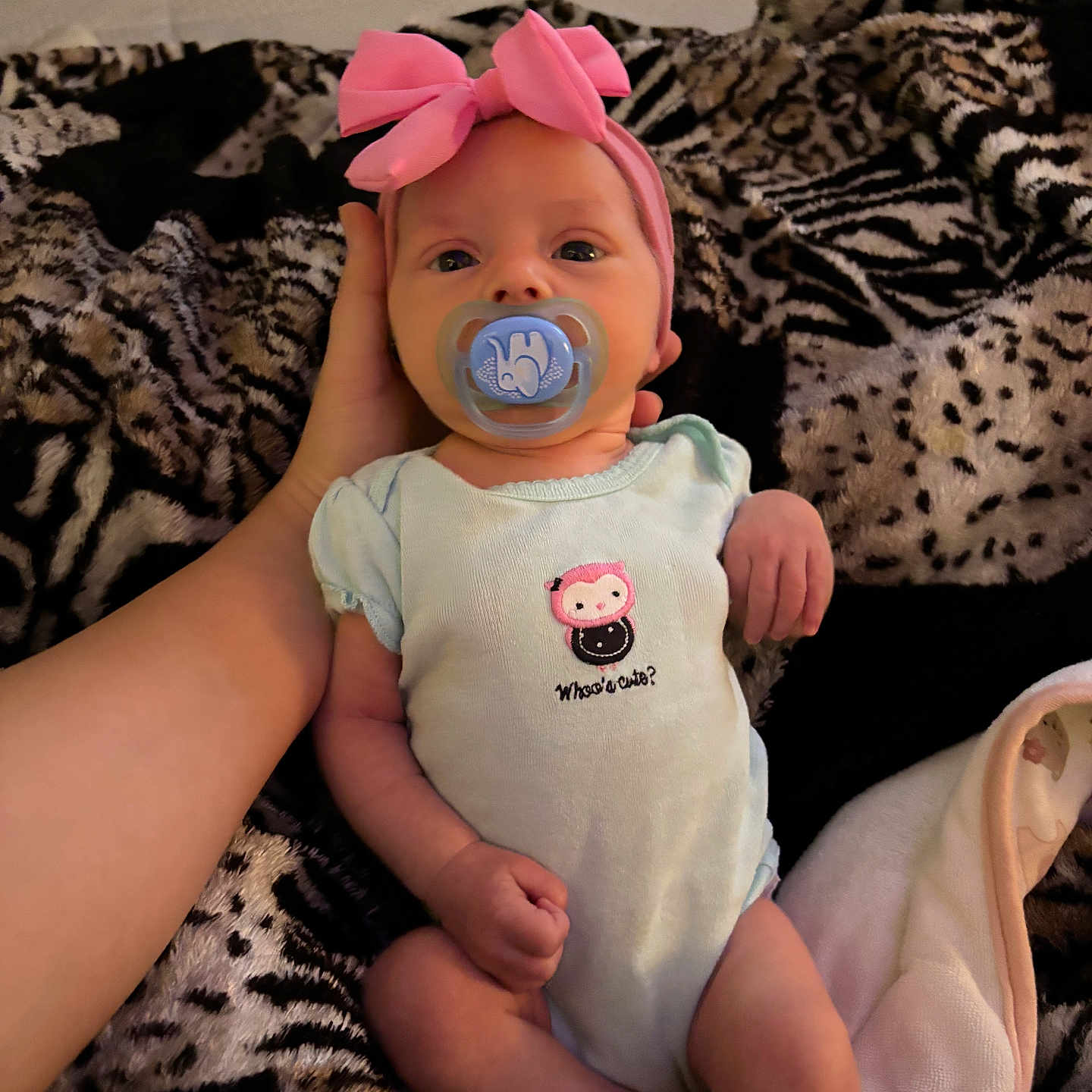 Delaney