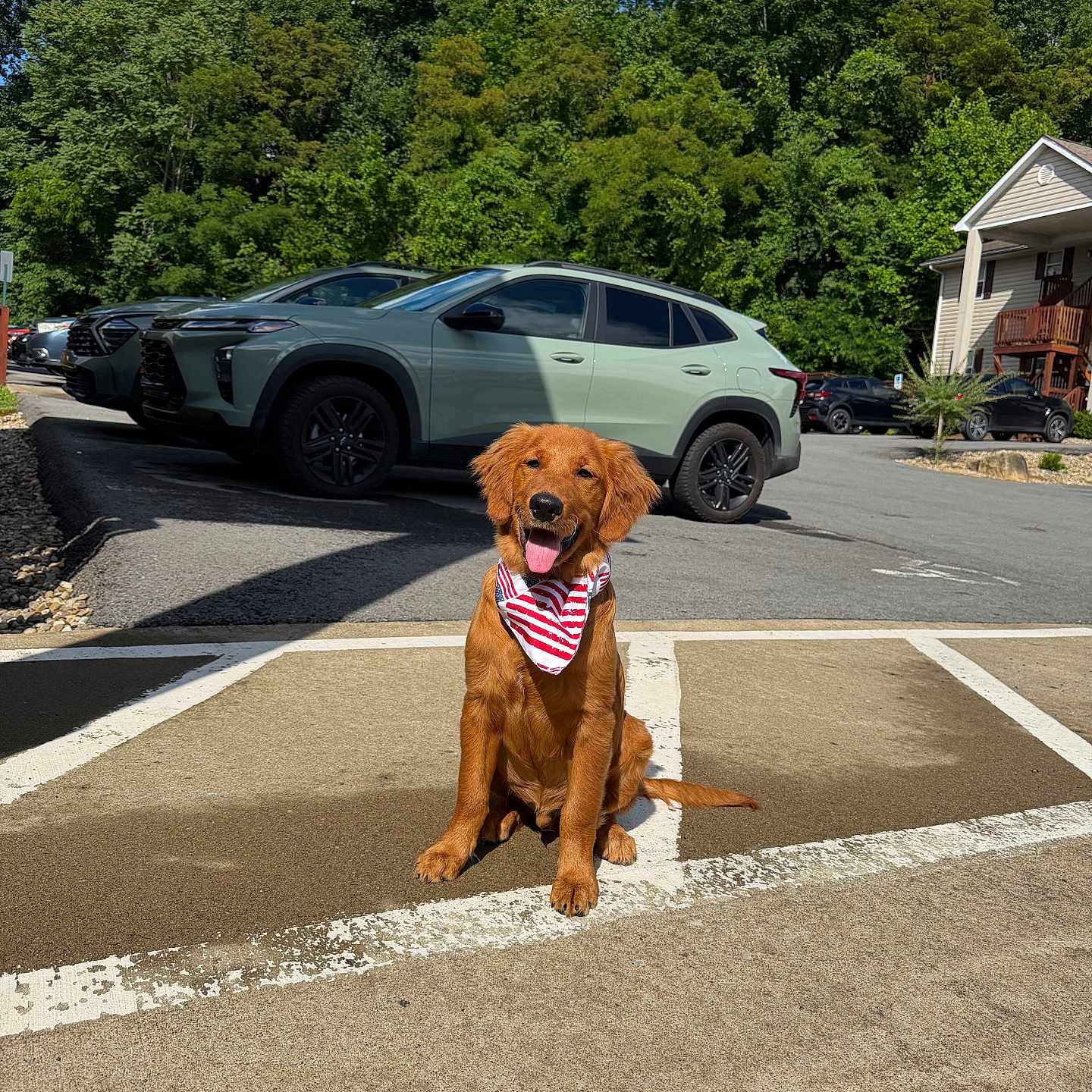 Riggs