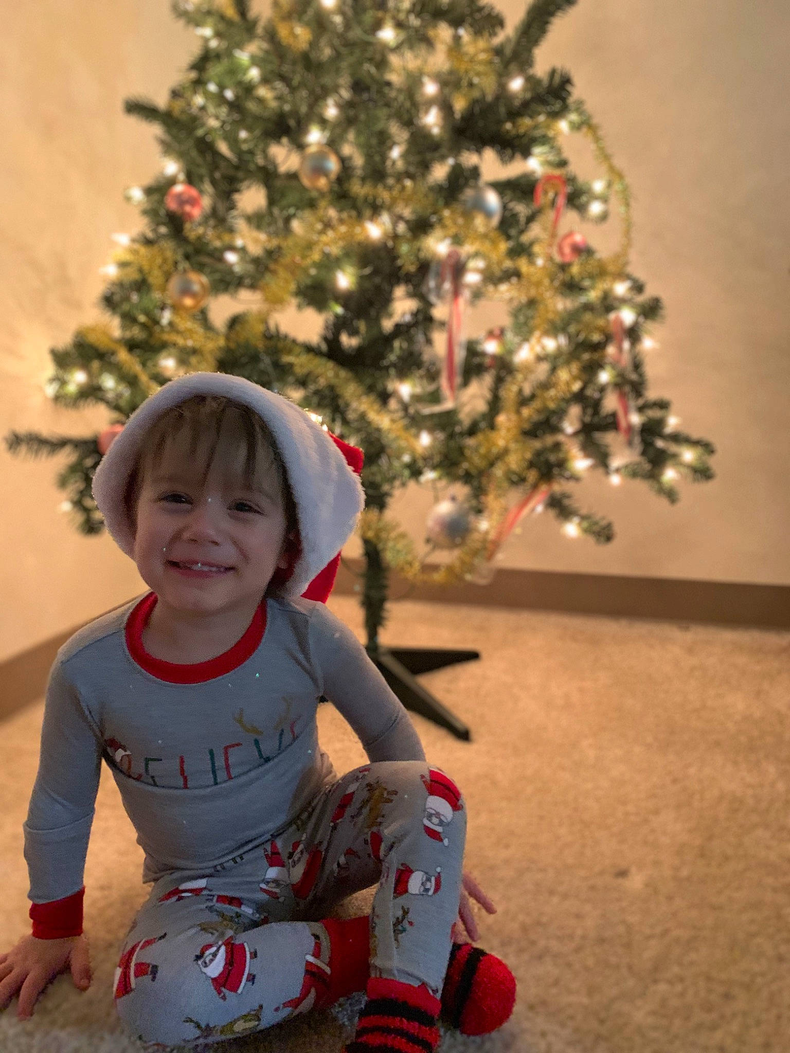 Jaxson joined the competition — help win amazing prizes! baby, baby_toddler_clothing, christmas, christmas_decoration, christmas_ornament, christmas_tree, conifer, event, evergreen, facial_expression, happy, head, holiday, holiday_ornament, human_body, joy, ornament, person, sitting, smile
