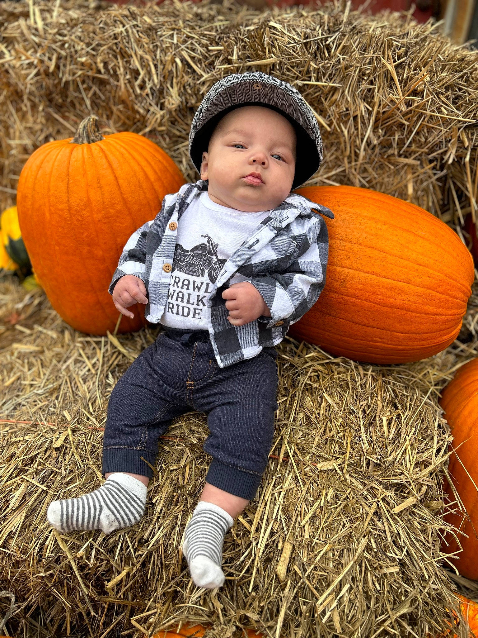 Gage is registered to the contest to win money with this photo: _and_melon_family, _gourd, agriculture, autumn, calabaza, cucumber, cucurbita, gourd, grass, happy, local_food, natural_foods, people, people_in_nature, person, plant, pumpkin, squash, toddler, vegetable