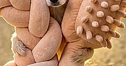 Brittany Spears joined the competition — help win amazing prizes! animal, beige, closeup, curious, cute, daylight, dog, ears, nature, outdoor, pavement, pet, playful, plush_toy, portrait, small_dog, soft_texture, sunlight, toy, warm_light