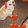 dog, small_dog, pink_bow, carpet, indoor, pet, cute, fluffy, heart_stickers, pixel_art, looking_up, adorable, animal, companion, playful, light, fur, brown_carpet, decorations, close_up