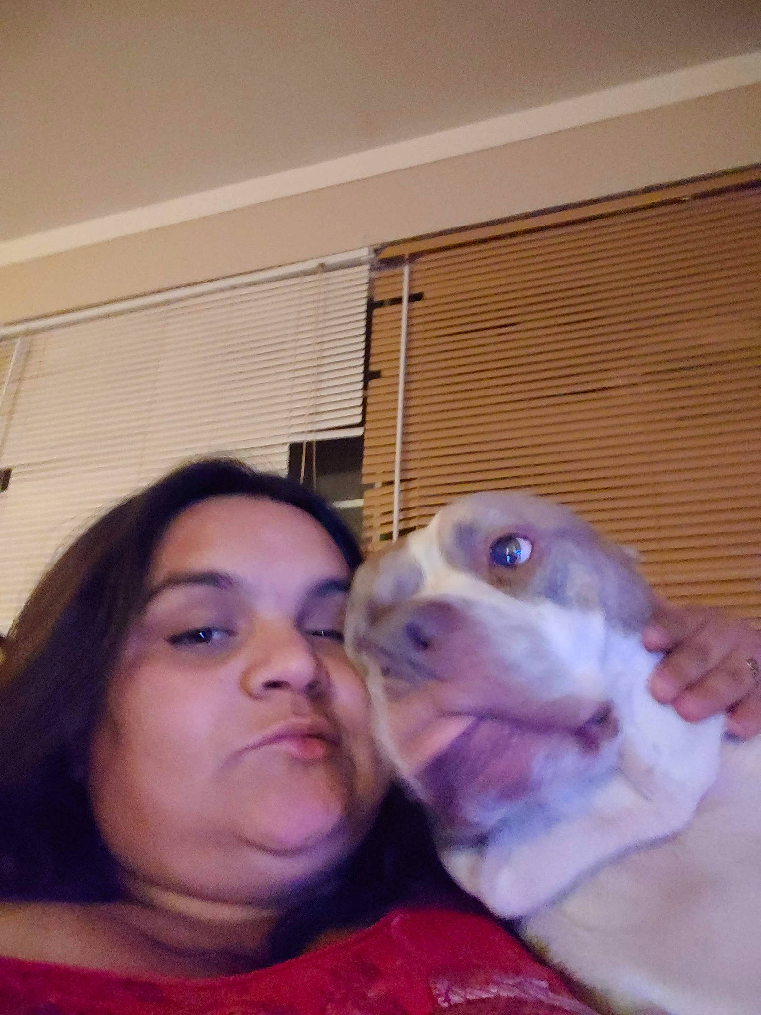 Lilman joined the competition — help win amazing prizes! canidae, carnivore, comfort, companion_dog, dog, dog_breed, ear, fawn, fun, fur, gesture, happy, jaw, kiss, magenta, nose, puppy_love, selfie, sporting_group, whiskers