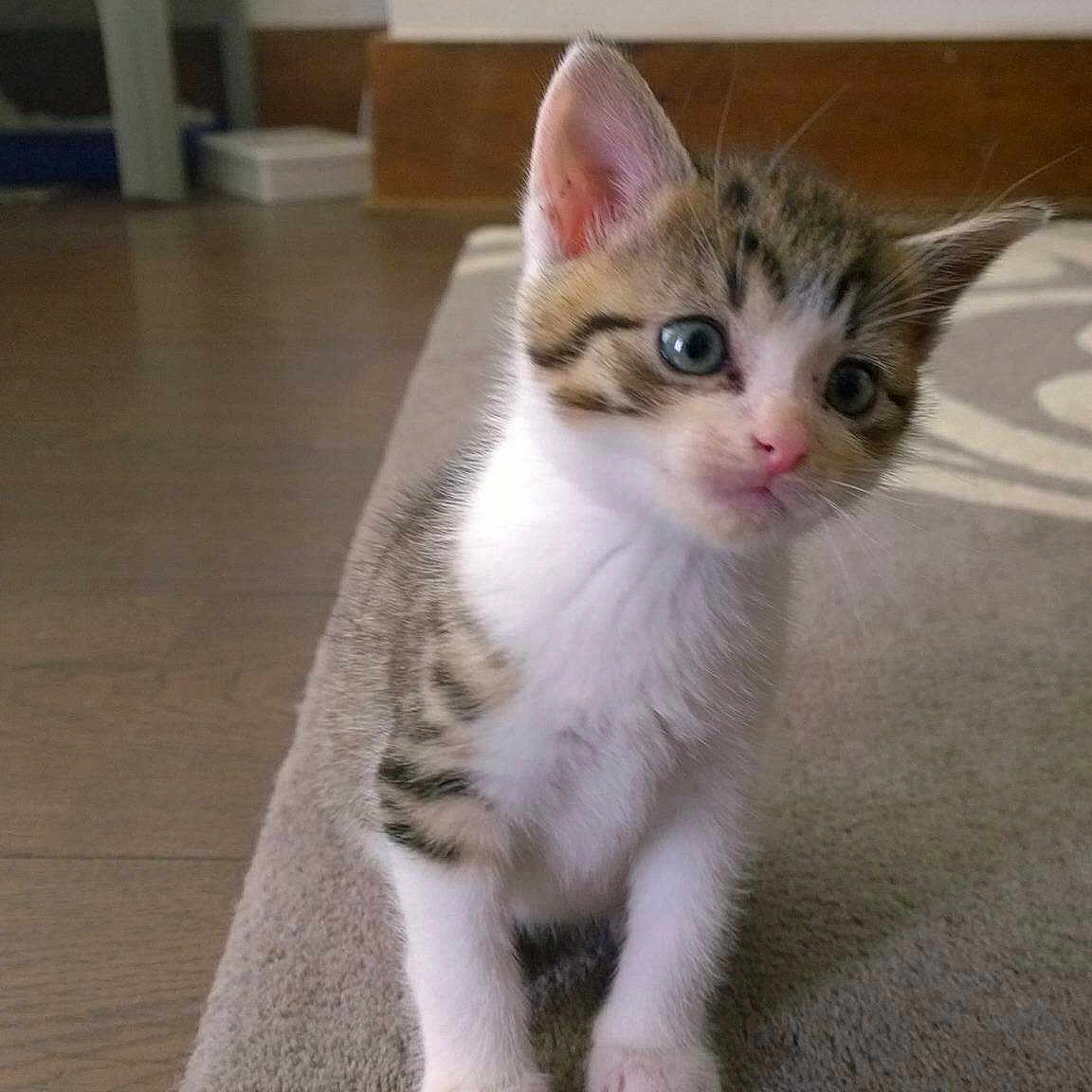 Marlon joined the competition — help win amazing prizes!