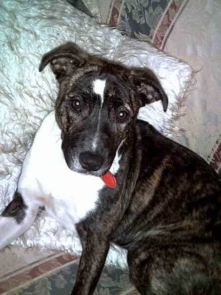 Abbie joined the competition — help win amazing prizes!