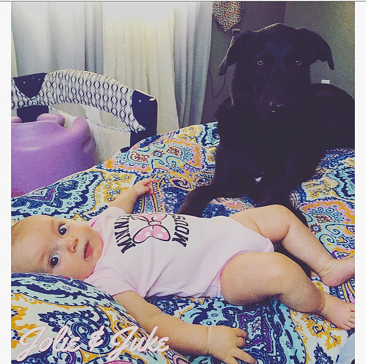 Jolie is registered to the contest to win money with this photo: bed, bed_sheet, bedding, bedtime, black_hair, child, flesh, furniture, leg, linens, nap, pattern, person, photography, pillow, room, selfie, snapshot, textile, thigh