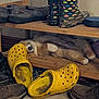 dog, sleeping, shoe_rack, yellow_crocs, rain_boots, brown_shoes, wooden_furniture, indoor, cozy, pet, paw, fur, resting, clutter, floor, household, relaxation, brown_wall, casual, messy
