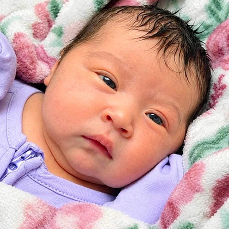 Sophia